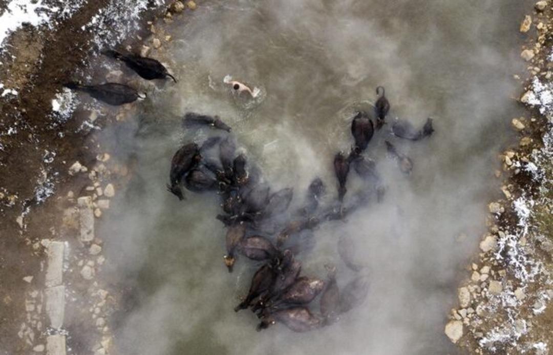 Mandaların eksi 10 derecede kaplıca sefası