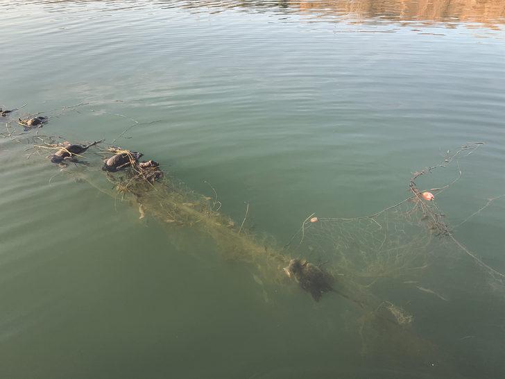 Sapanca Gölü'nde 'hayalet ağ' katliamı! G3