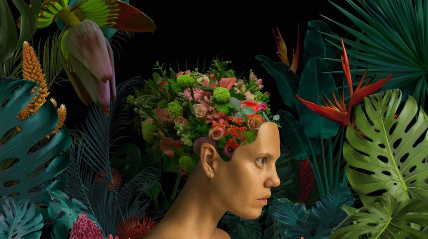 Etnik rinoplasti ve biyometrik güzellik