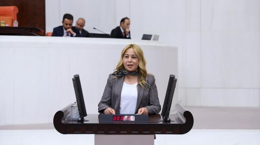 Milletvekili Esin Kara okullardaki &ouml;l&uuml;mleri meclis g&uuml;ndemine taşıdı