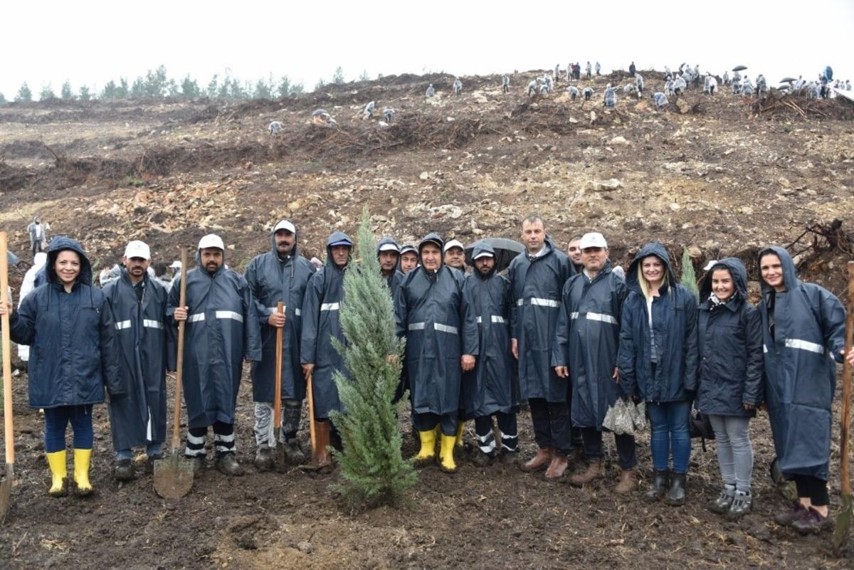 Binlerce fidan Yunusemre&rsquo;de toprakla buluştu