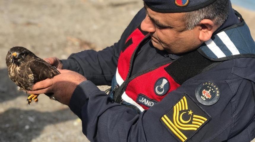 Jandarmadan yaralı Doğan&rsquo;a şefkat eli