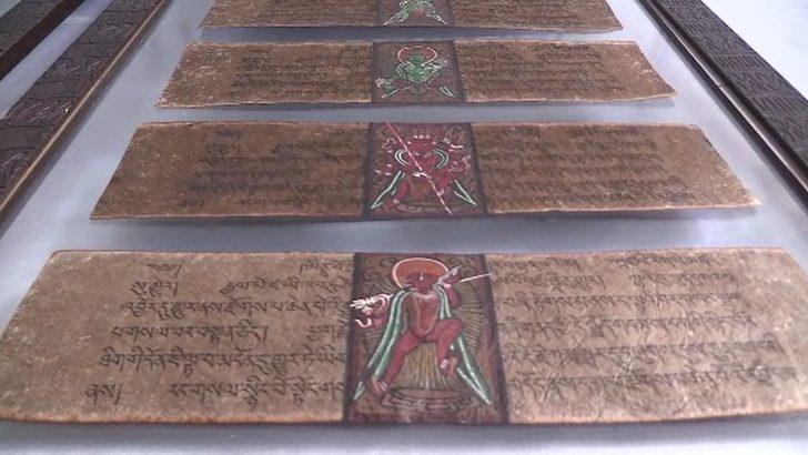 Yer: Yalova! Ekipler 1 aylık takip sonrası düğmeye bastı! Değeri dudak uçuklattı G1