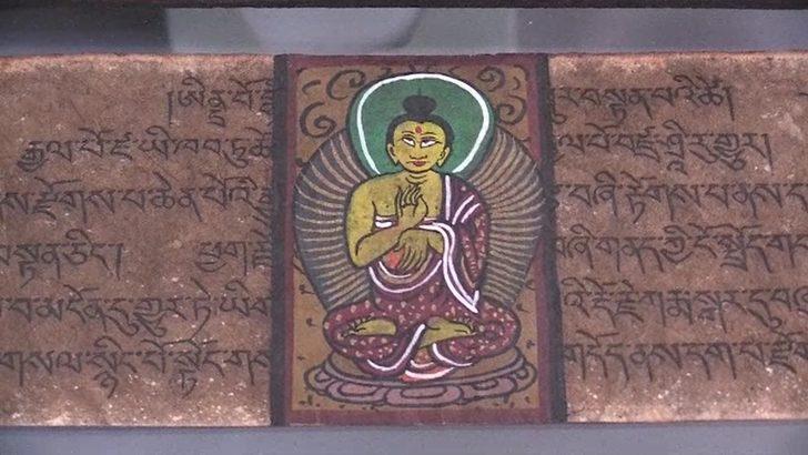 Yer: Yalova! Ekipler 1 aylık takip sonrası düğmeye bastı! Değeri dudak uçuklattı G2