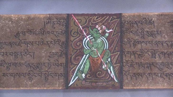 Yer: Yalova! Ekipler 1 aylık takip sonrası düğmeye bastı! Değeri dudak uçuklattı G3