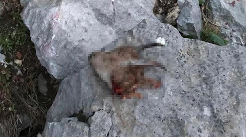 Isparta'da denetim sırasında yakalandılar! Ceza üstüne ceza yağdı!