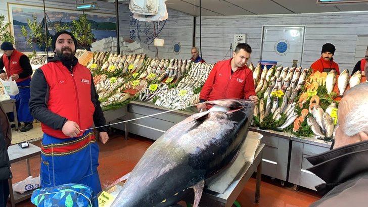 Çanakkale'de avlanan 325 kiloluk orkinos görenleri şaşkına çevirdi G1