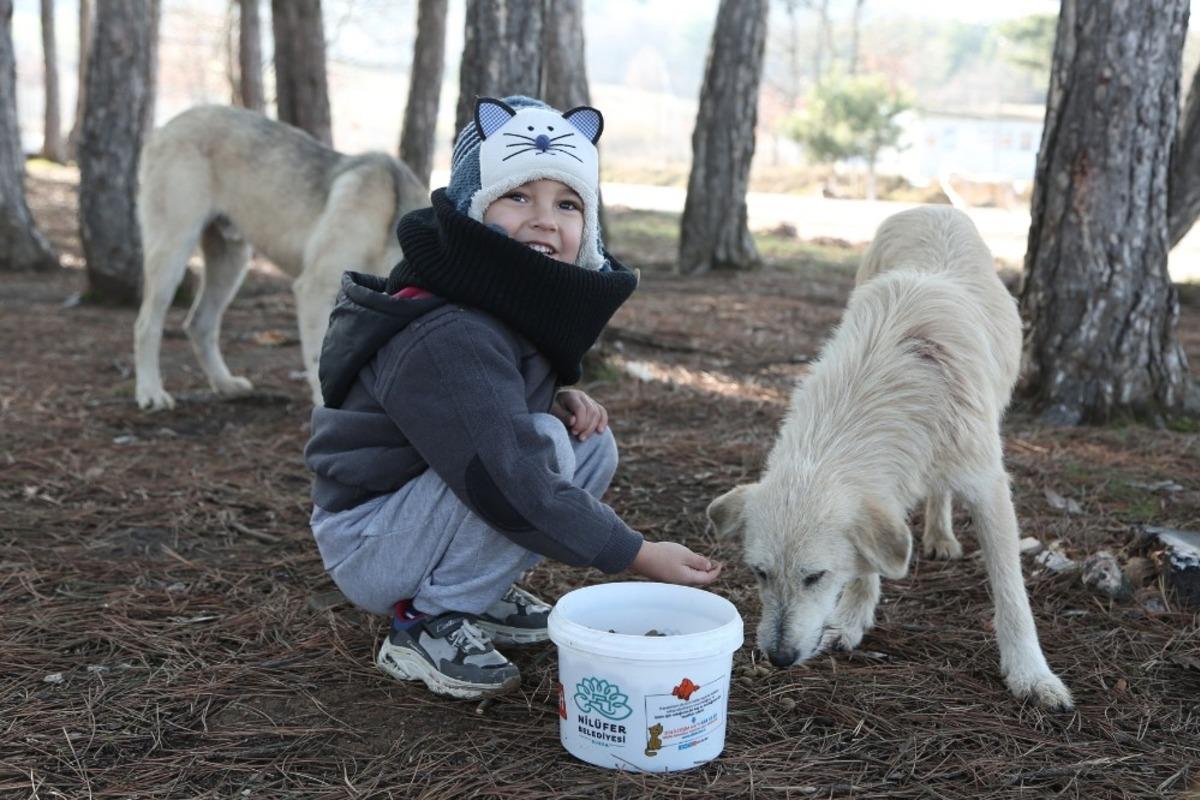 Sokak hayvanlarına mama dağıttılar