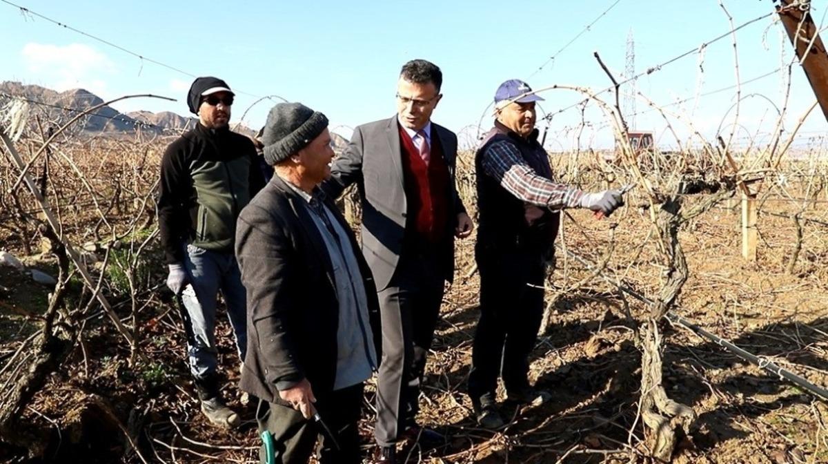 Başkan &Ouml;k&uuml;zc&uuml;oğlu bağ budaması yapan &ccedil;ift&ccedil;ileri yalnız bırakmadı