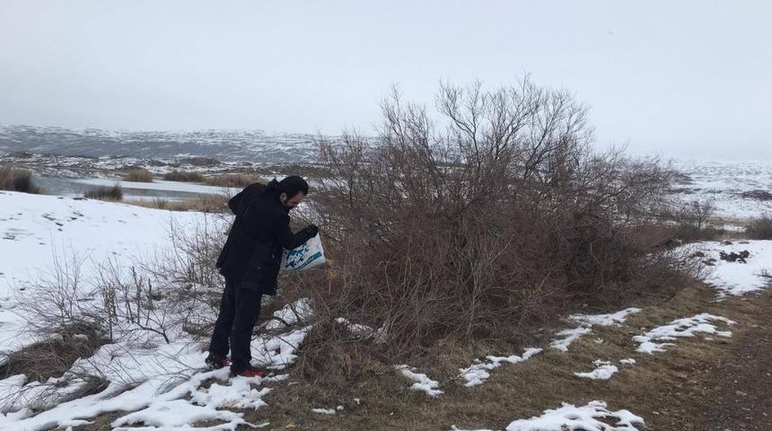 Yaban hayatı unutulmadı