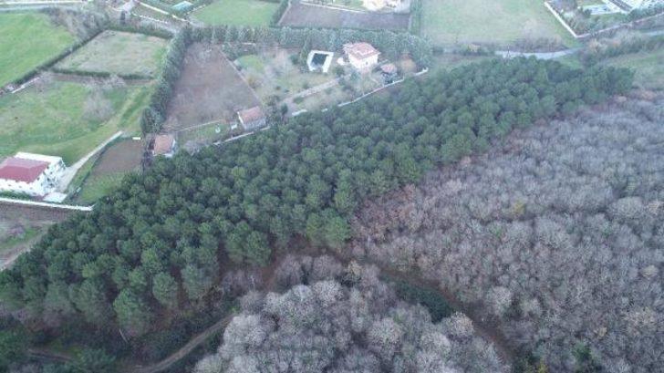 İstanbul'a yatırım için gelen kayıp iş adamının cesedi ormanda gömülü bulundu G4