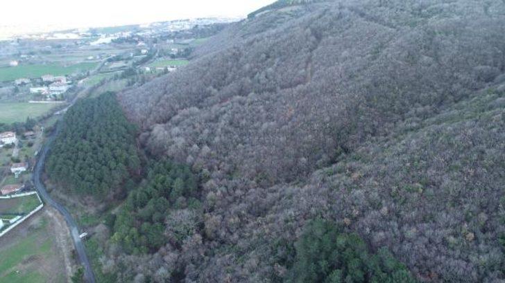 İstanbul'a yatırım için gelen kayıp iş adamının cesedi ormanda gömülü bulundu G3