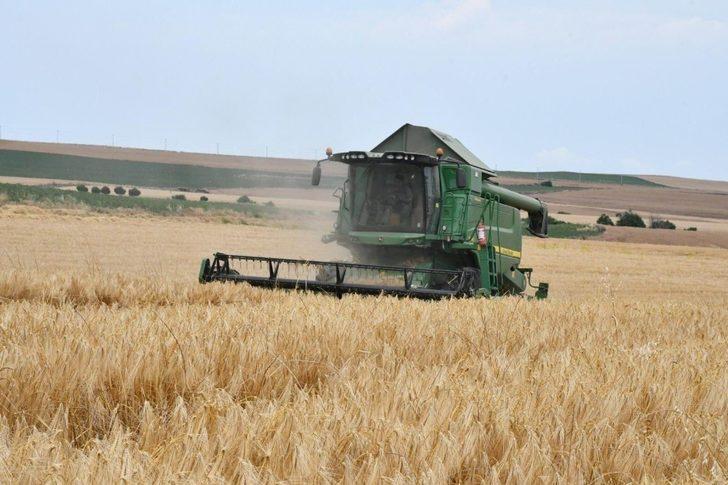 Tekirdağ Türkiye genelinde Kanola ve Ayçiçek üretiminde 1. Sırada G2