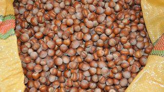 1 Mart 2021 güncel fındık fiyatları... Fındık kaç lira oldu? İllere göre fındık fiyatları listesi! 