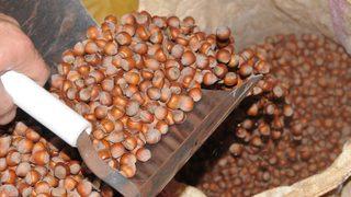 Fındığın fiyatı 21,5 liraya geriledi