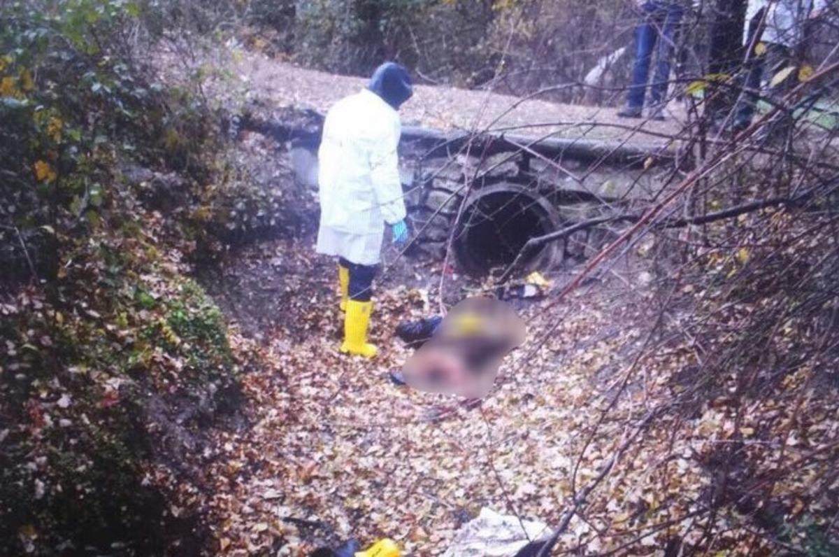 Bolu&rsquo;da 17 yaşındaki genci &ouml;ld&uuml;ren sanığa m&uuml;ebbet hapis istendi