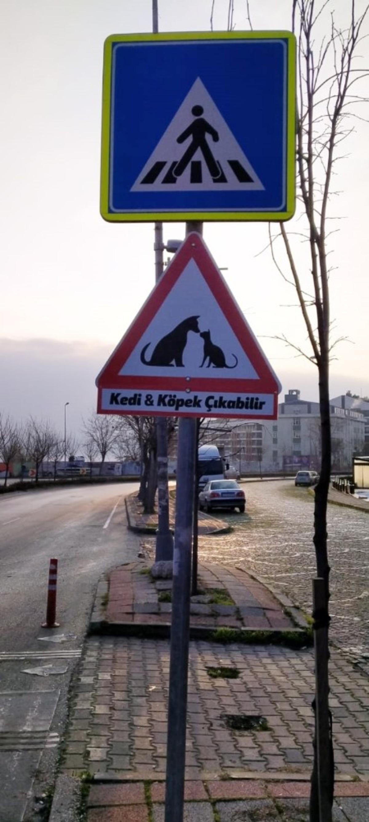 B&uuml;y&uuml;k&ccedil;ekmece&rsquo;ye sokak hayvanları i&ccedil;in uyarı levhası