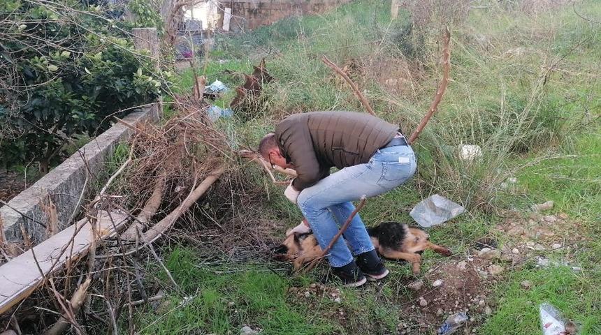 ’İnsanlara zarar verse daha mı iyi olacak’ deyip, köpeği bıçaklayarak öldürdü