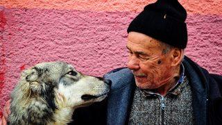 Emekli maaşıyla sahipsiz köpeklere bakıyor