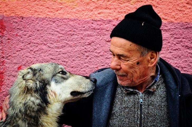 Emekli maaşıyla sahipsiz köpeklere bakıyor G1