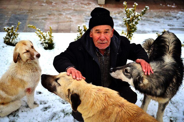 Emekli maaşıyla sahipsiz köpeklere bakıyor G4