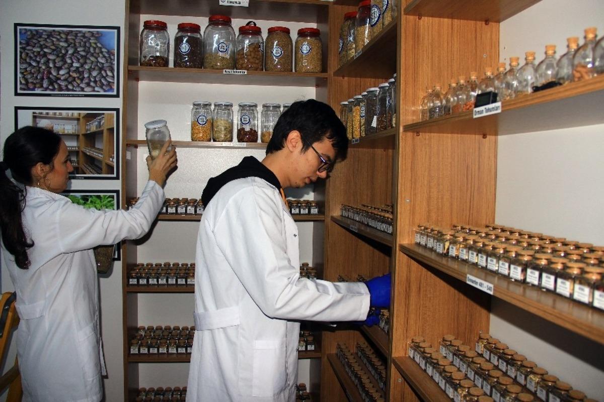 Muğla&rsquo;nın yerel tohumlarına dijital ortamda ulaşım