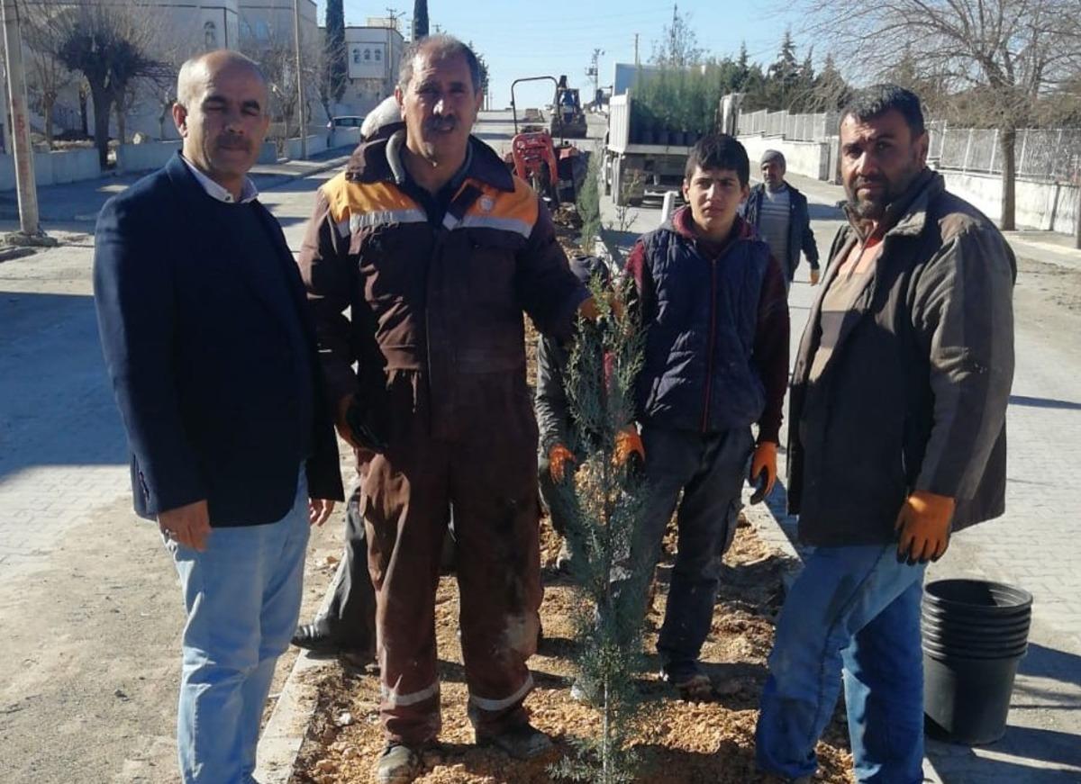 Samsat&rsquo;ta ref&uuml;jlerde ağa&ccedil;landırma &ccedil;alışması