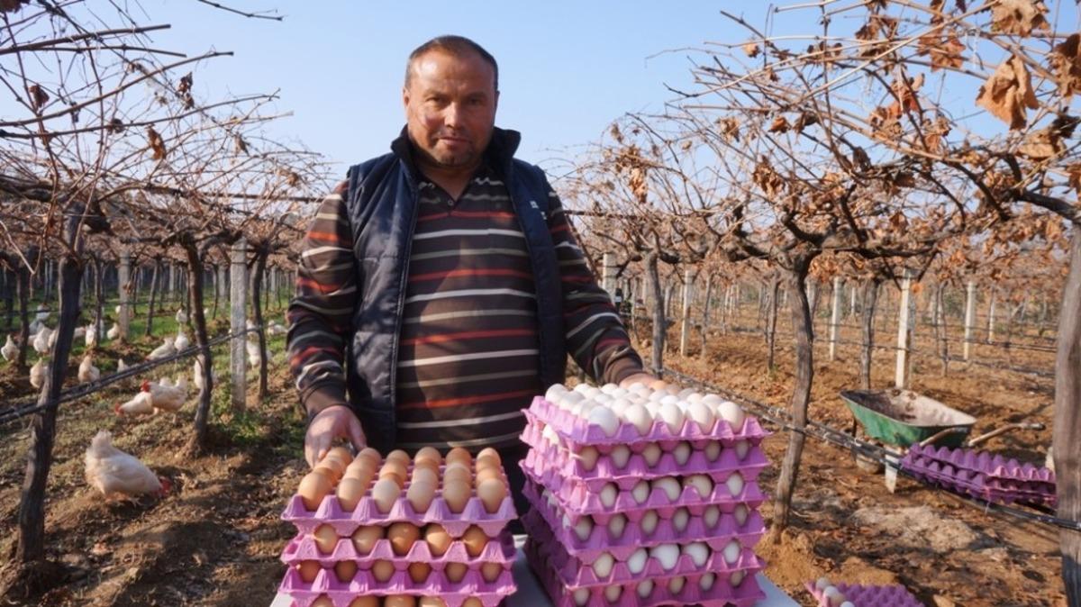 &Uuml;z&uuml;m &uuml;reticisi &rsquo;gezen tavuk&rsquo; hayalini ger&ccedil;ekleştirdi