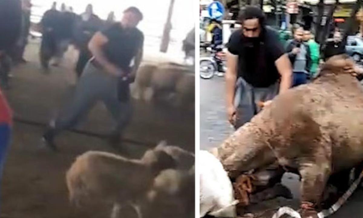 İş yeri &ouml;n&uuml;nde deve kesip esnafla kavga eden kasap &ouml;z&uuml;r diledi