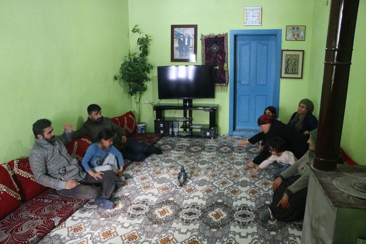 Yükseova'da bulunan posta güvercinin ayağındaki yazı dikkat çekti!  G2