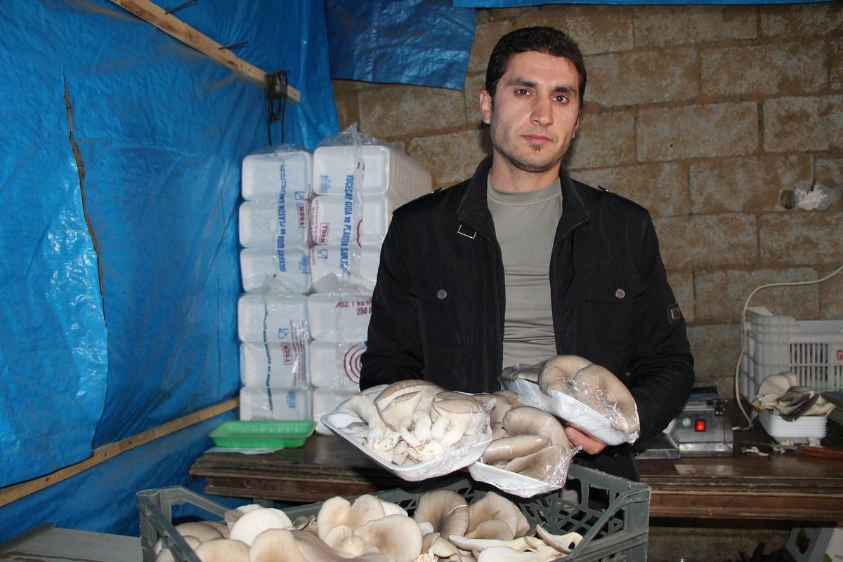 İstiridye mantar &uuml;retimine hobi olarak başladı, siparişlere yetişemez oldu