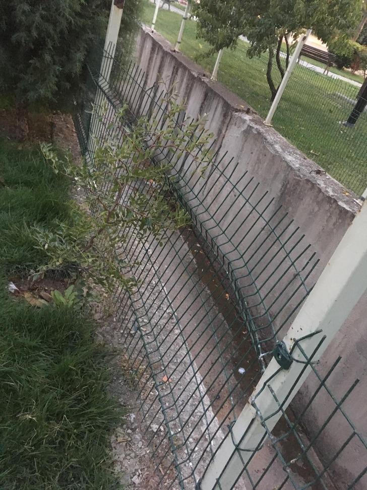 Hastanede polise mukavemet etmişti! 40 yıl hapsi istendi, medyayı suçladı G4