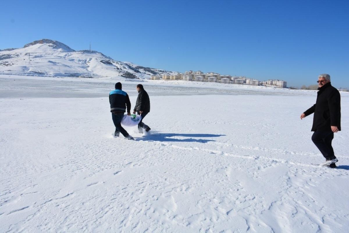 Tuşba Belediyesi, yaban hayvanları i&ccedil;in doğaya yem bıraktı
