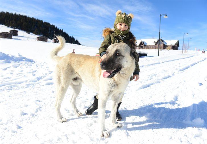 Beyaza bürünen yaylalar doğal güzelliğiyle cezbediyor G3