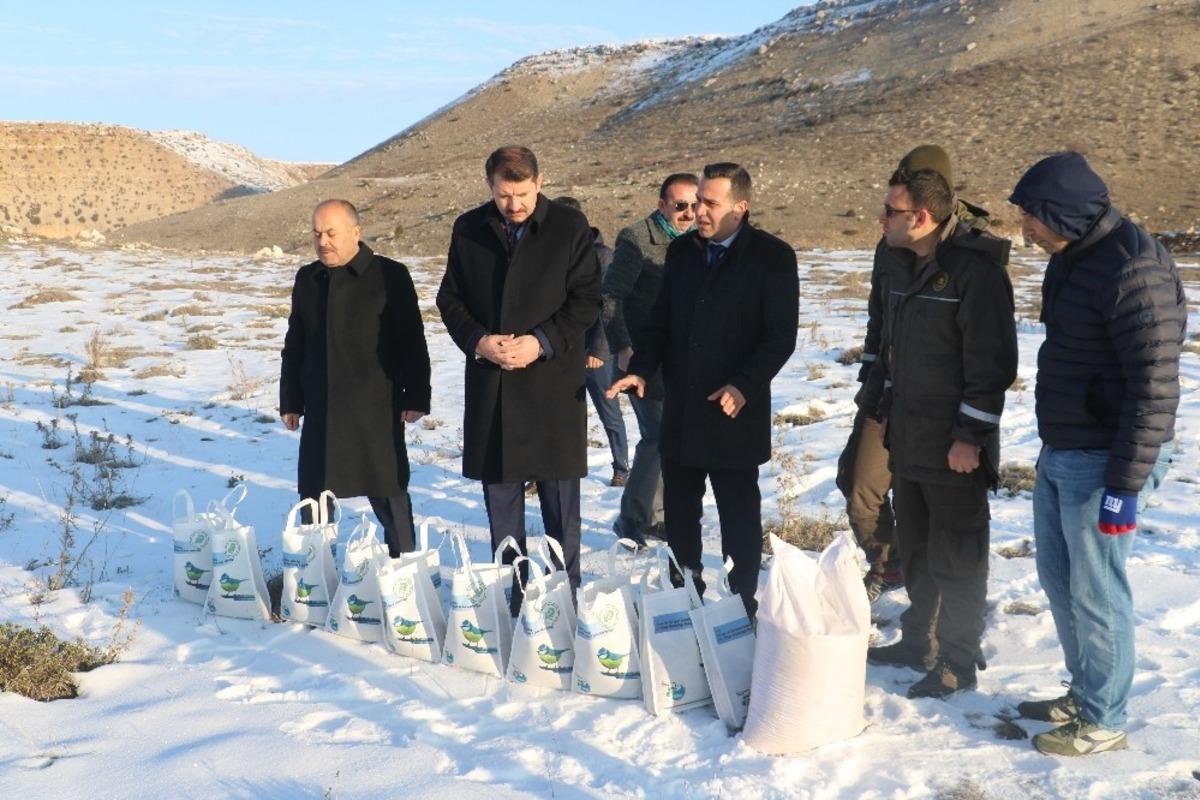 Yaban hayvanları i&ccedil;in doğaya yem bırakıldı