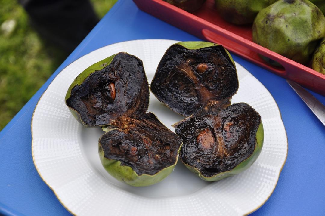 'Black sapote'(&ccedil;ikolata ağacı)'na yoğun ilgi! Dalından &ccedil;ikolata toplayıp ekmeğe s&uuml;r&uuml;p yediler
