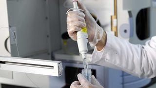 Son dakika: İstanbul'da domuz gribi şüphesiyle ilgili ölümlere ilişkin Sağlık Bakanlığı'ndan açıklama