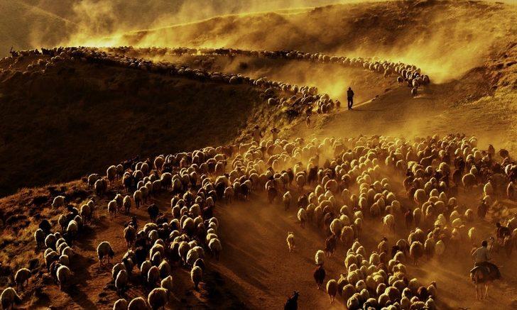 İHA Muhabiri Özkan Olcay, İTB’nin fotoğraf yarışmasında birinci oldu G2