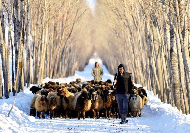 İHA Muhabiri Özkan Olcay, İTB’nin fotoğraf yarışmasında birinci oldu G3