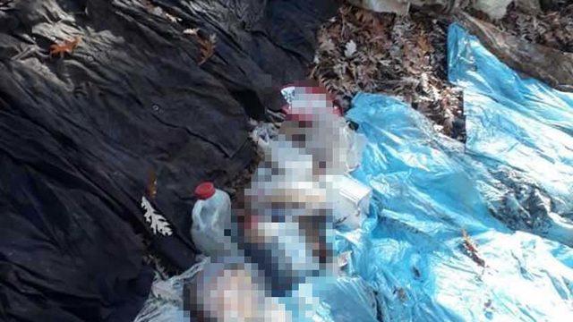 Amanoslarda 5 kilo TNT patlayıcı ve yaşam malzemesi ele geçirildi