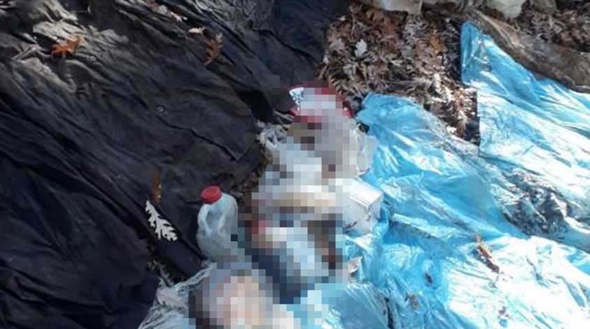 Amanoslarda 5 kilo TNT patlayıcı ve yaşam malzemesi ele ge&ccedil;irildi