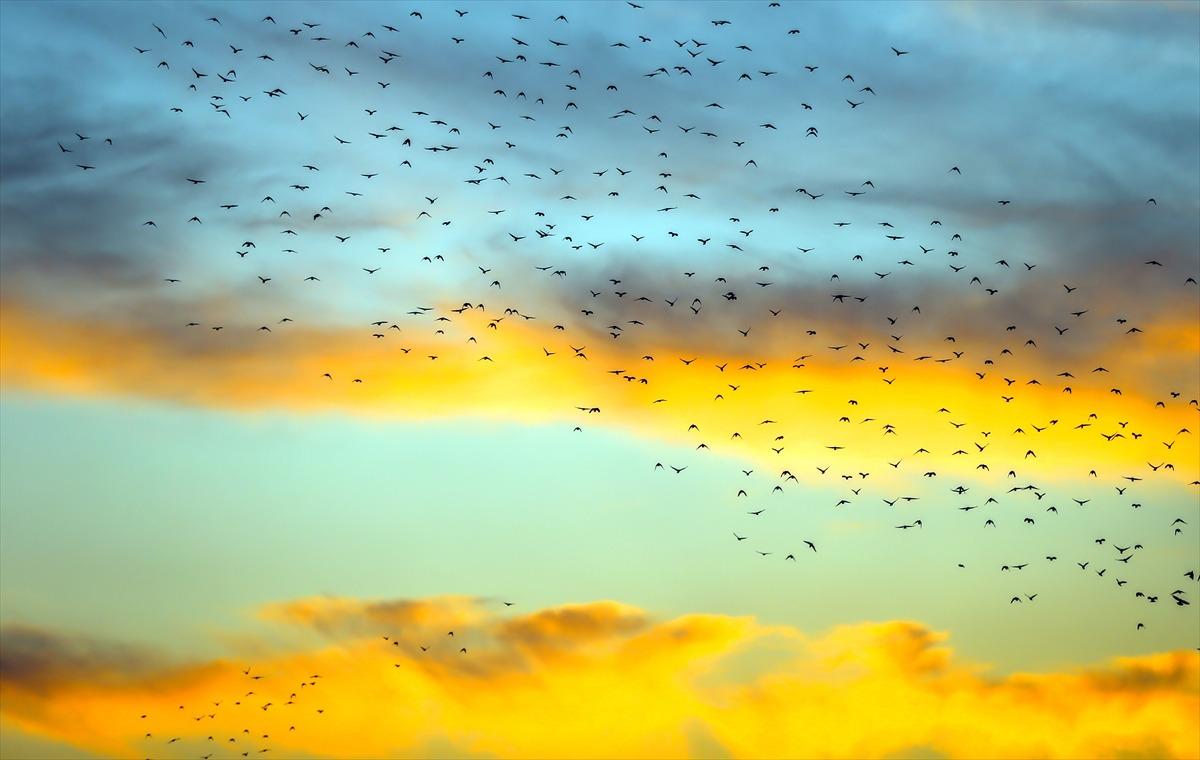 G&ouml;renler telefona sarıldı! Dakikalarca s&uuml;rd&uuml;