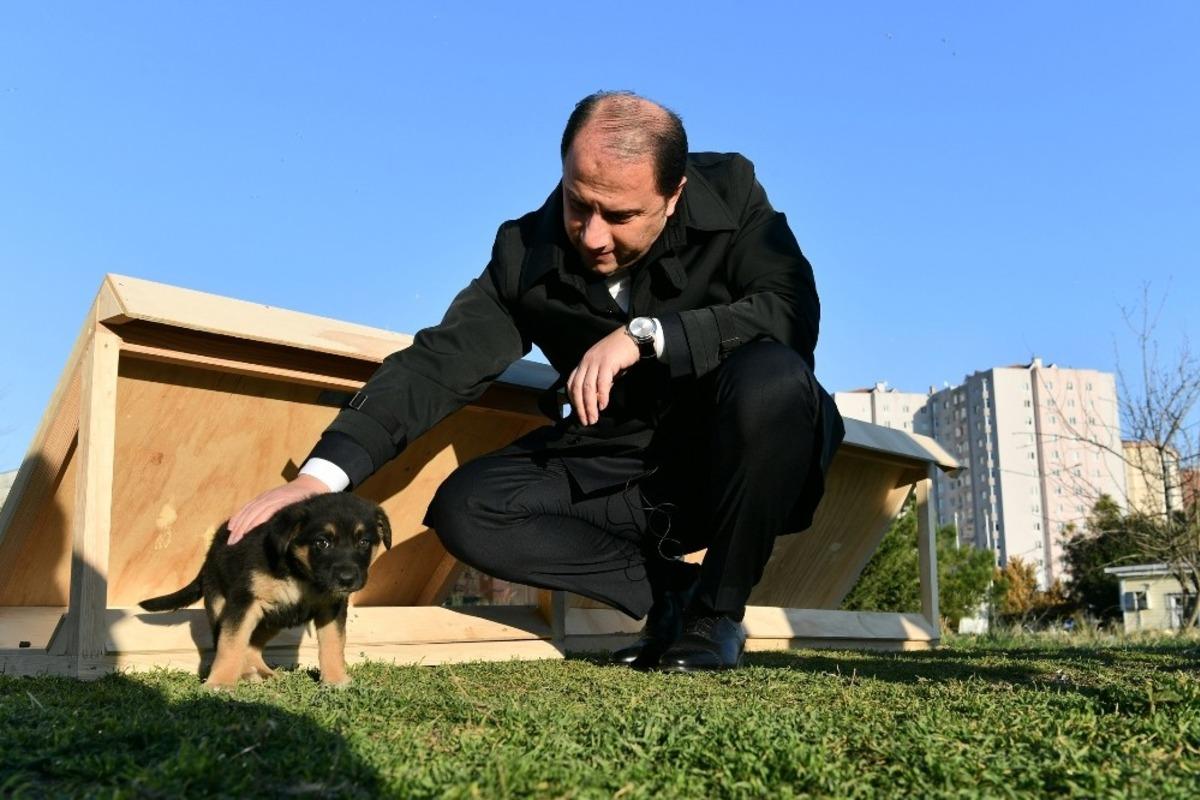 Beylikd&uuml;z&uuml; Belediyesi Mama Evleri Projesini hayata ge&ccedil;irdi