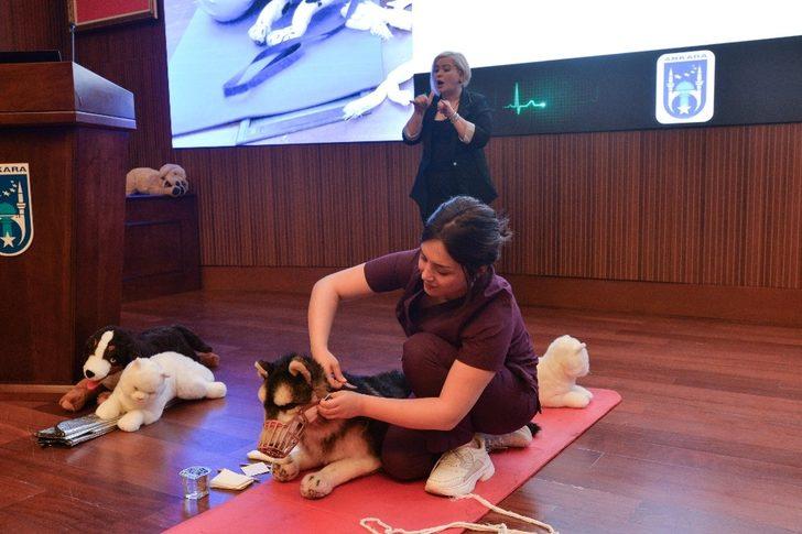 Büyükşehir Belediyesi, hayvanlara yönelik çalışmalarını sürdürüyor G1