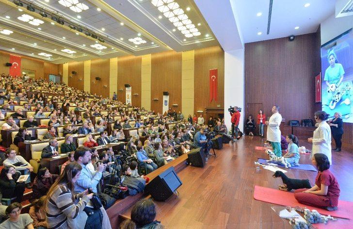 Büyükşehir Belediyesi, hayvanlara yönelik çalışmalarını sürdürüyor G3