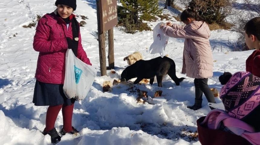 &Ouml;ğrencilerden doğadaki hayvanlar i&ccedil;in anlamlı etkinlik