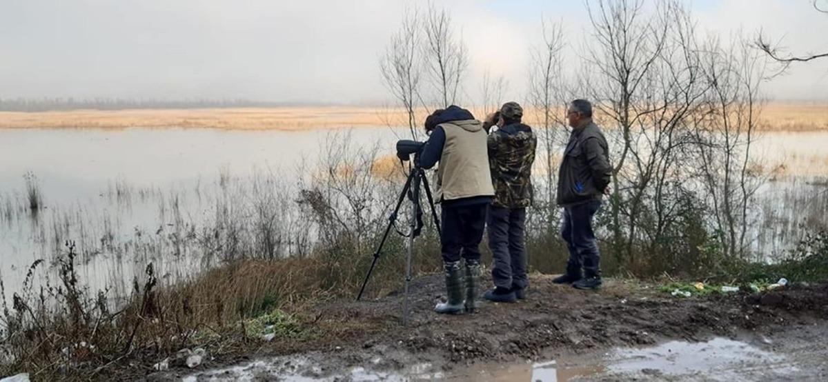 Efteni G&ouml;l&uuml;n&uuml;n misafirleri tespit ediliyor