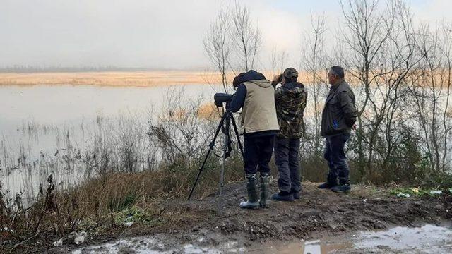 Efteni Gölünün misafirleri tespit ediliyor