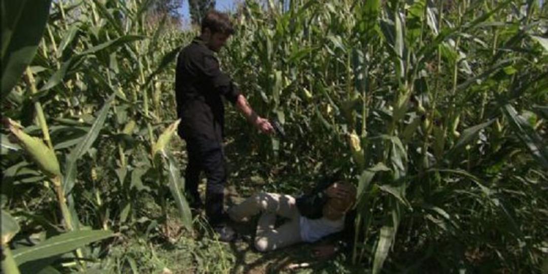 Pis Yedili 83. B&ouml;l&uuml;m Galerisi