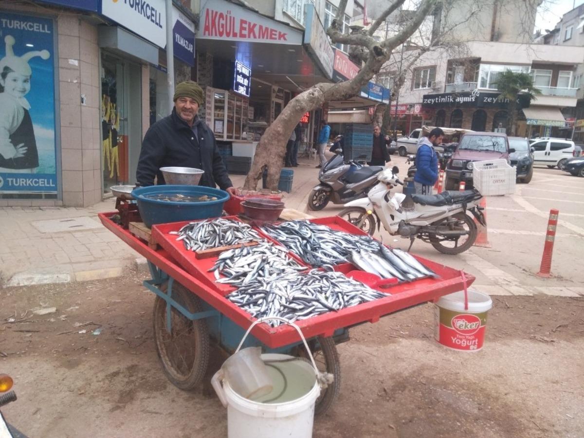 Hamsi bollaştı, tezgahlarda fiyatlar d&uuml;şt&uuml;